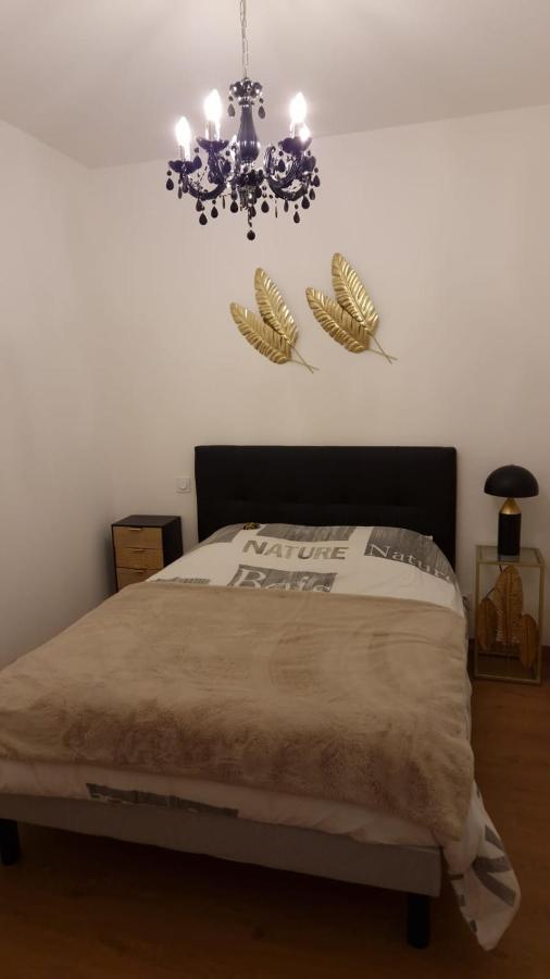 Appartement Cosy Centre Ville Ροάν Εξωτερικό φωτογραφία